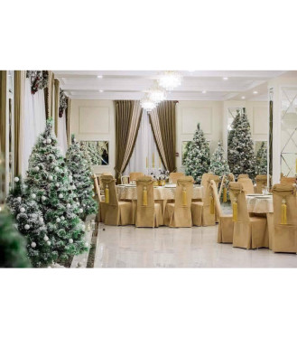 Сезон зимних вечеринок открыт в Saint Tropez Banquet Hall! 